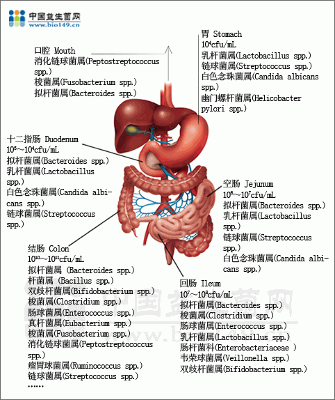 529肠道公益行