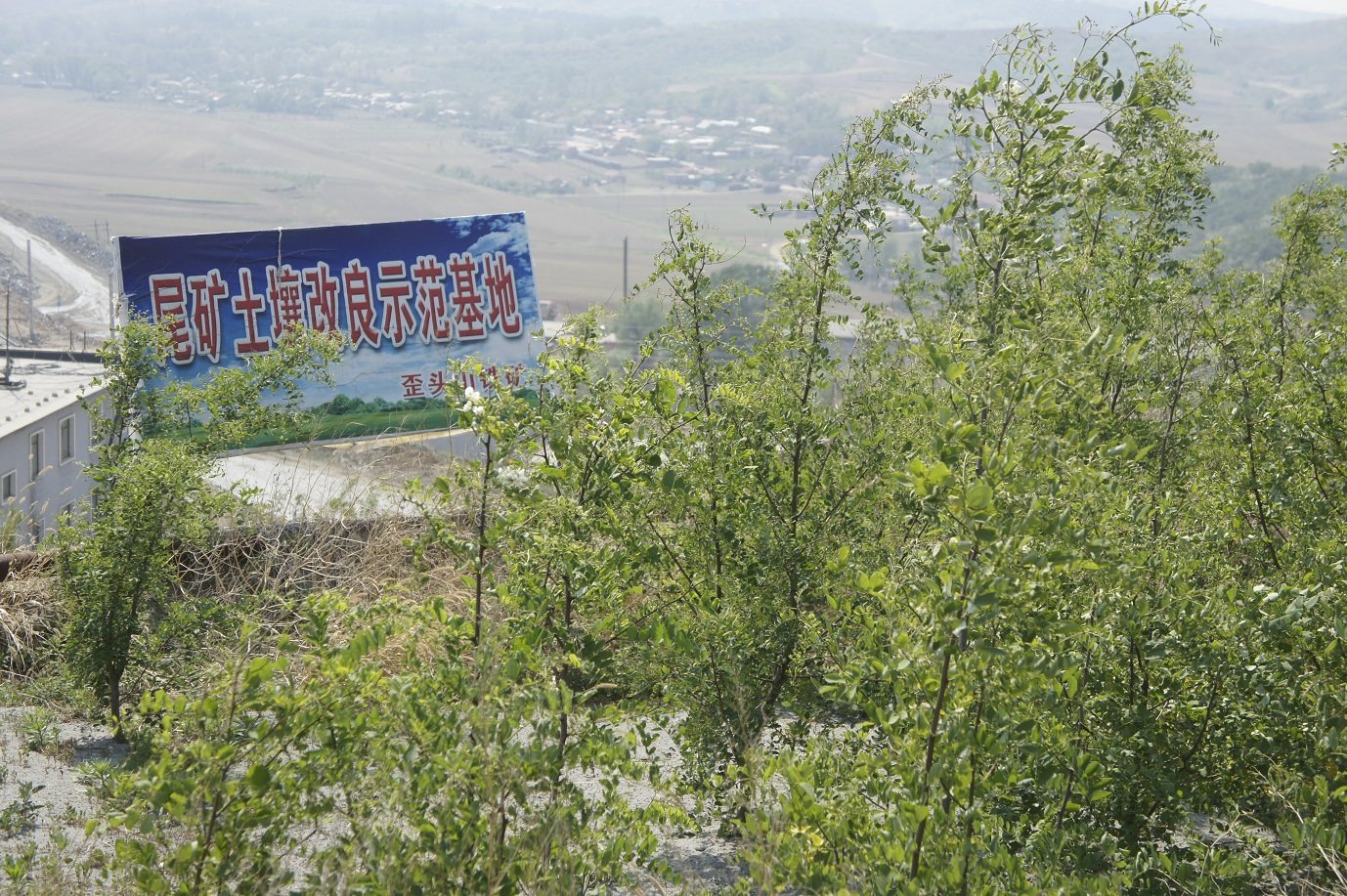 本钢矿业歪头山铁矿环境治理纪实