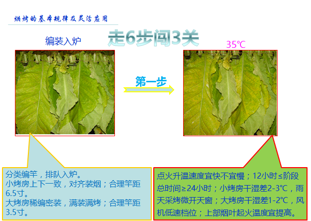 2021年烟叶烘烤技术指导