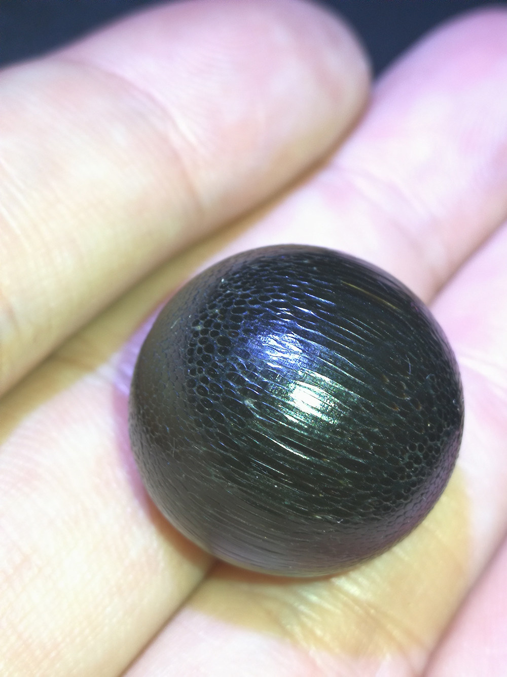 2 亚洲犀牛角化石珠(满鱼籽纹) 尺寸:20mm重:5.