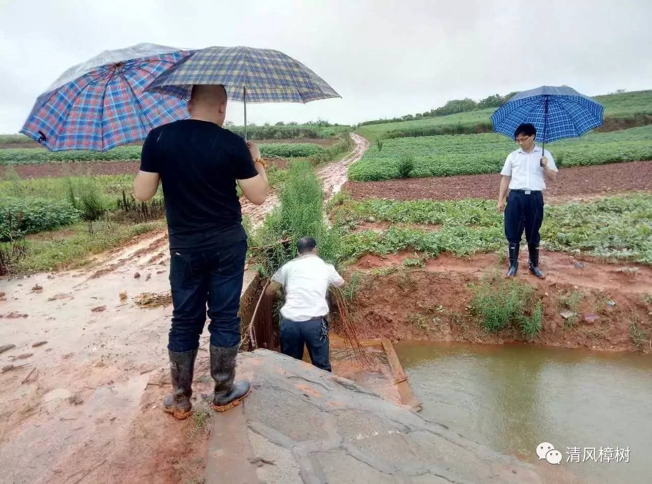 你是第487位向樟树抗洪暴雨中的坚守致敬的人