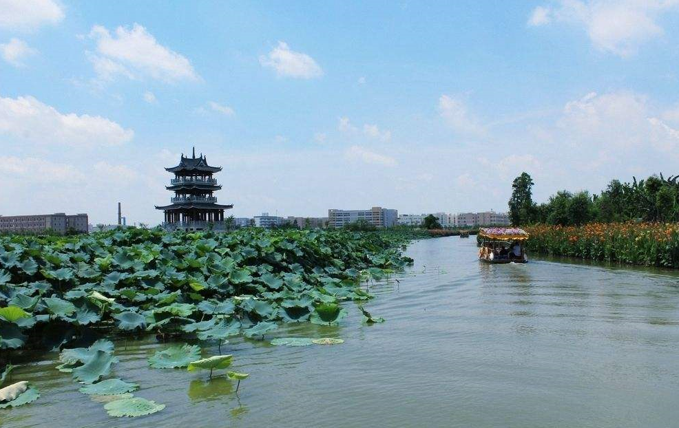 东莞麻涌