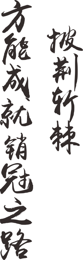 披荆斩棘,方能成就销冠之路!