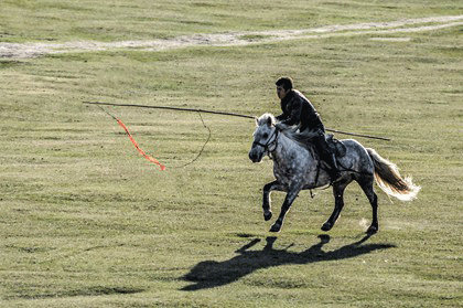 壁纸 动物 马 骑马 420_279 gif 动态图 动图
