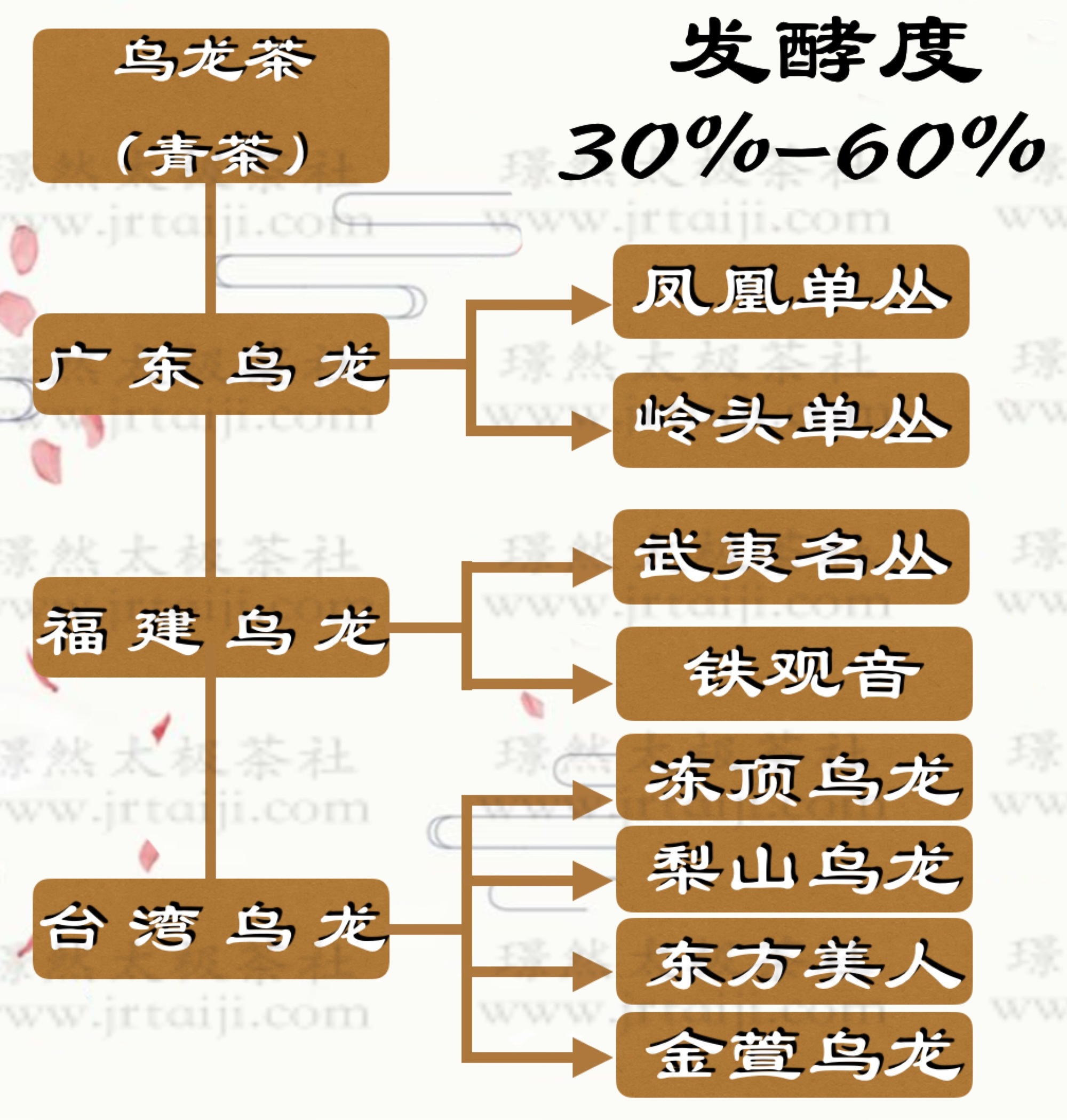 璟然太极茶社,六大茶系周末班