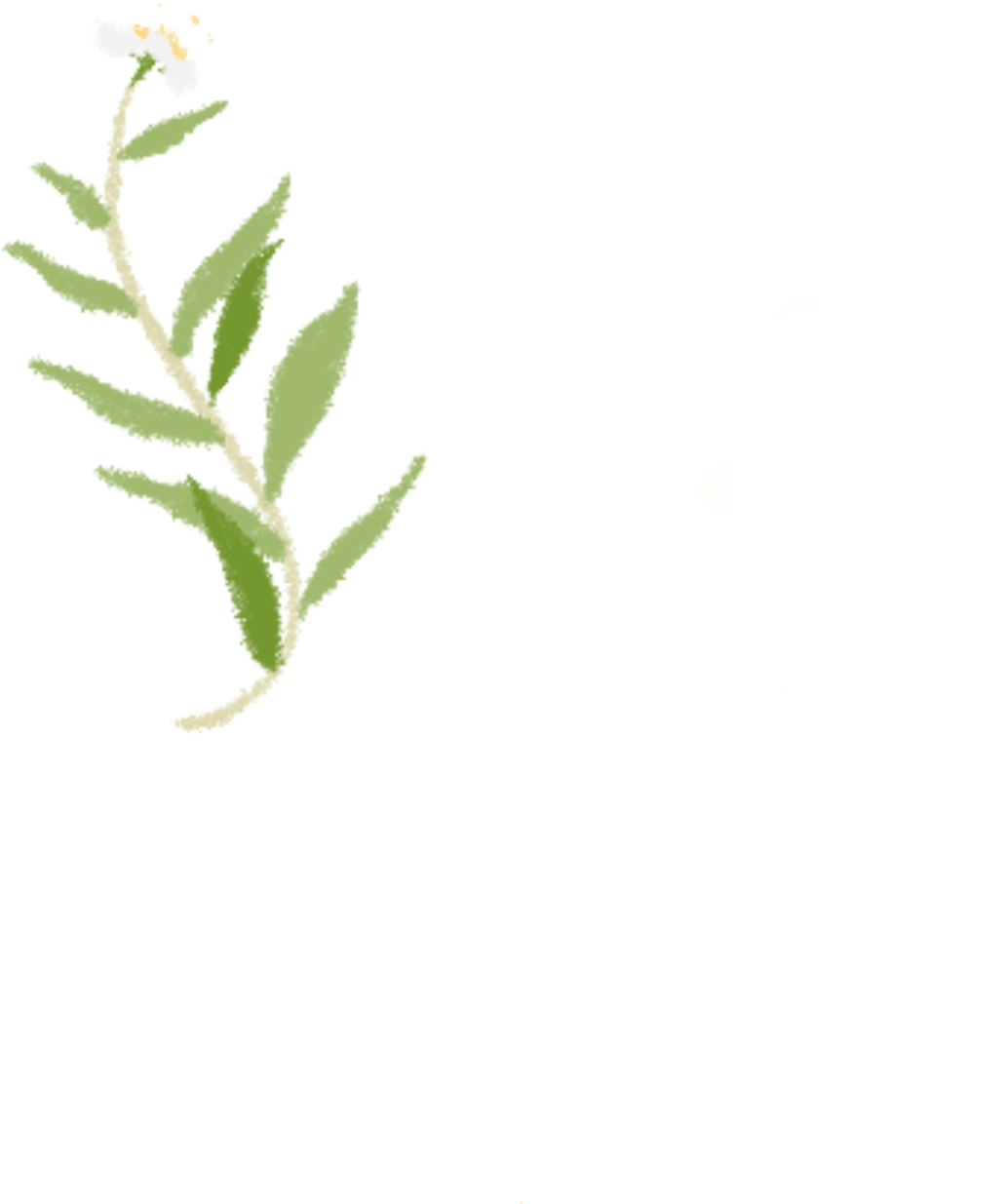 润养东方美